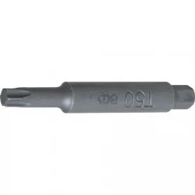   BGS technic Bit | pohon vonkajší šesťhran 10 mm (3/8") | T-profil (pre Torx) T50 (BGS 2086-T50)