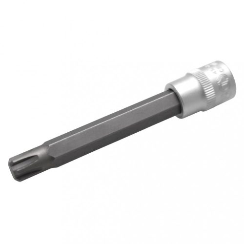BGS technic Nástrčná hlavica-bit | dĺžka 100 mm | 10 mm (3/8") uchytenie | Spline (pre RIBE) | M10 (BGS 4145)