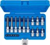 BGS technic Sada nástrčných hlavíc | 6,3 mm (1/4") / 12,5 mm (1/2") | T-profil (pre Torx) s otvorom | 18-dielna (BGS 5174)