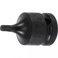 Bitová hlavica 1/2" Spline