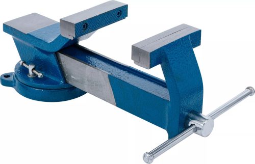 BGS technic Oceľový zverák | kované | Čeľuste 100 mm (58110)