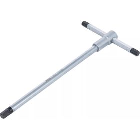   BGS technic Skrutkovač s posuvnou T-rúčkou | vnútorný šesťuholník | 10 mm (6089)