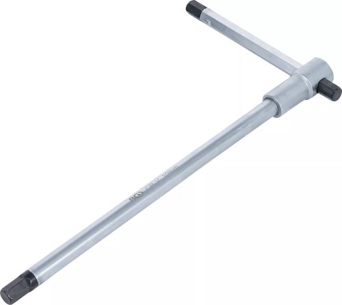 BGS technic Skrutkovač s posuvnou T-rúčkou | vnútorný šesťuholník | 10 mm (6089)