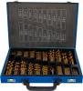 BGS technic Súprava vrtákov so stupňovitým vrtákom | HSS | titánovo nitridované | 1 – 10 mm | 231 dielov (72130)