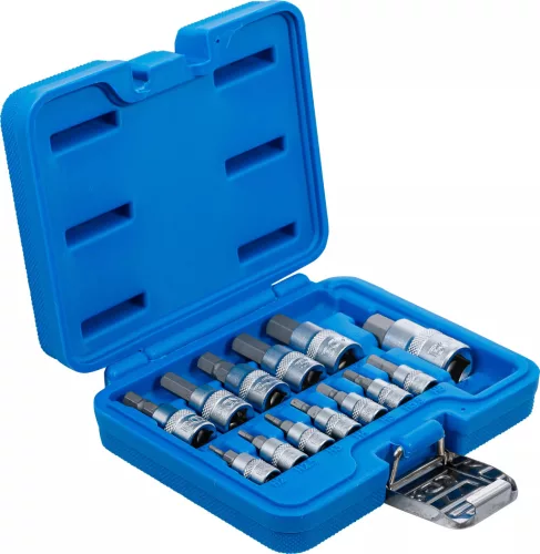 BGS technic Sada objímok bitov | 6,3 mm (1/4) / 10 mm (3/8") / 12,5 mm (1/2") Pohon | Vnútorný šesťhran 2 - 14 mm | 13 ks. (74257)