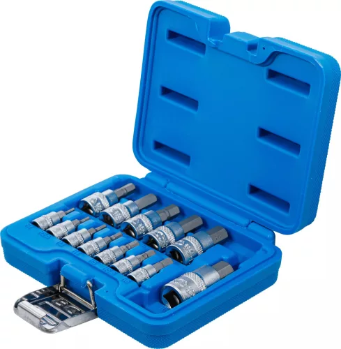 BGS technic Sada objímok bitov | 6,3 mm (1/4) / 10 mm (3/8") / 12,5 mm (1/2") Pohon | Vnútorný šesťhran 2 - 14 mm | 13 ks. (74257)