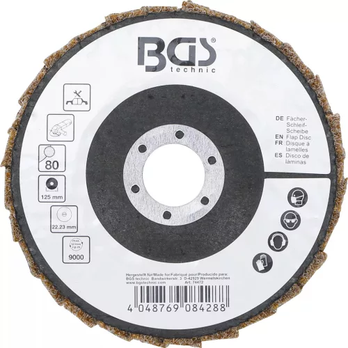 BGS technic Klapka disk | Netkané | Ø 125 mm | Veľkosť zrna 80 (74472)