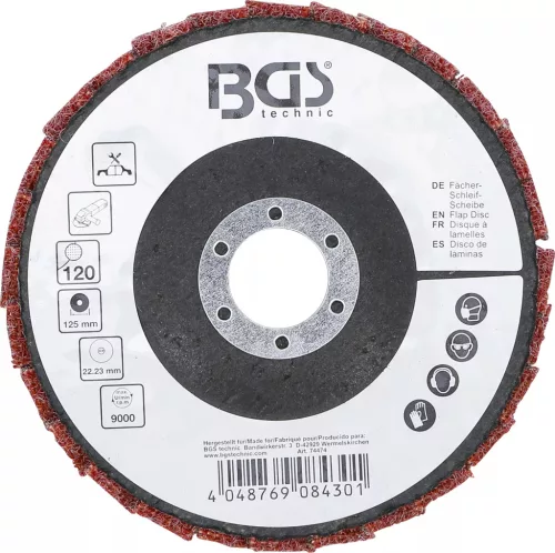 BGS technic Klapka disk | Netkané | Ø 125 mm | Veľkosť zrna 120 (74474)