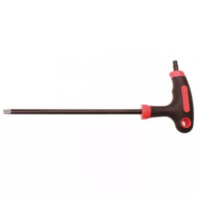   BGS DIY Skrutkovač s T-rukoväťou | T-Star s dierou / bez diery (pre Torx) | T25 (BGS 7880-T25)