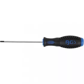   BGS technic Skrutkovač | vnútorný šesťhran 3 mm | Dĺžka čepele 100 mm (BGS 8629-4)