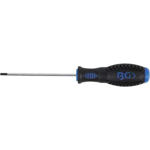 BGS technic Skrutkovač | vnútorný šesťhran 3 mm | Dĺžka čepele 100 mm (BGS 8629-4)