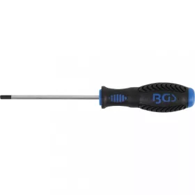   BGS technic Skrutkovač | vnútorný šesťhran 4 mm | Dĺžka čepele 100 mm (BGS 8629-5)