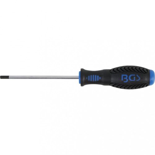 BGS technic Skrutkovač | vnútorný šesťhran 4 mm | Dĺžka čepele 100 mm (BGS 8629-5)
