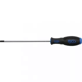   BGS technic Skrutkovač | vnútorný šesťhran 5 mm | Dĺžka čepele 150 mm (BGS 8629-6)