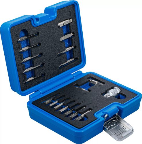 BGS technic Sada odstraňovačov skrutiek | vnútorný šesťhran 1,5–10 mm / T-profil (Torx) | T10–T55 | 19-dielna (9173-1)