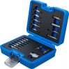 BGS technic Sada odstraňovačov skrutiek | vnútorný šesťhran 1,5–10 mm / T-profil (Torx) | T10–T55 | 19-dielna (9173-1)