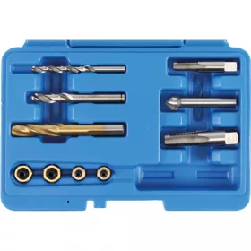   BGS technic Univerzální súprava na opravu odvzdušňovacích ventilov brzdových strmeňov pre kotúčové brzdy | 1/4" & 1/8" NPT (BGS 9346)