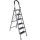 BORMANN Hliníkový rebrík na domáce použitie 5+1 schodov, protišmykový (BHL7036)
