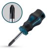 BORMANN Pro SKRUTKOVAČ KRÍŽOVÝ PHILLIPS 2x38mm S2 (BHT7062)