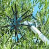 NAKAYAMA Zberač plodov ''STAR PLUS'' TYP ''T'' 12V, 2,3 m, 2,8 kg (NZ1200)