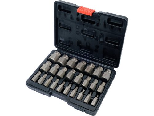 YATO Sada vyťahovákov strhnutých skrutiek 25 ks (YT-06034)